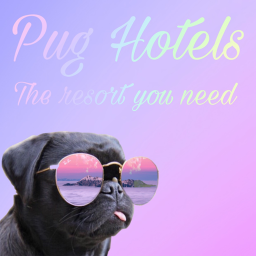 Pug Hotels