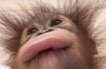 Noellekbkk