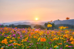 The poopy diaper squad