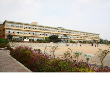 2020-09-29일 되면 새로개발합니다 