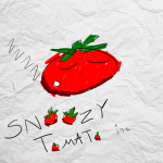 Snoozy Tomato Inc.