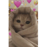 beths hood<3