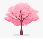 Blossom-pink