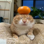lemon's goober gang