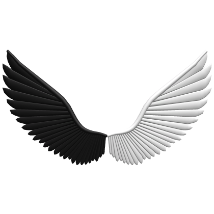 Black and White Wings