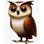 Group Owl!!!!