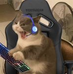 TheCrazyMeows