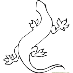 geckogamer!!