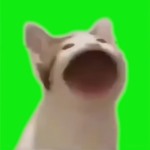 껨용 부대