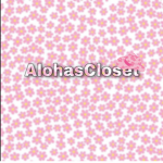 Aloha Closets
