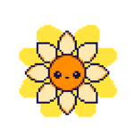Local Flowers'