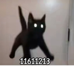 ElGatitoNegro