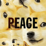 Doge-land Peace Division