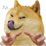 #DOGEPEOPLE