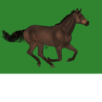 Green Oaks Equestrain