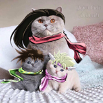 jojo day