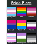 LGBTQ Equality Support