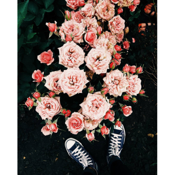 Meet Fiz?What?Who?Me?!^w^