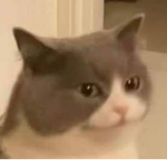 Mistsuo
