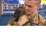 The Dogs Army
