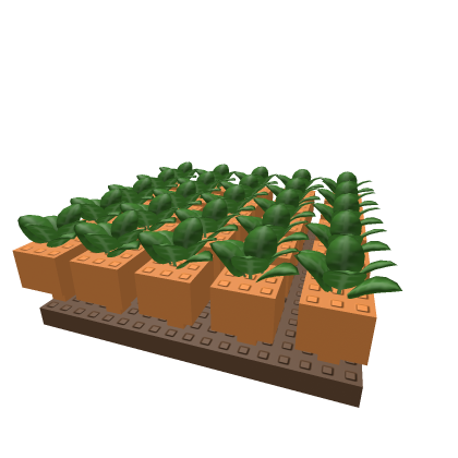 carrots