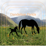 Dandelion Fields Foal Care Center