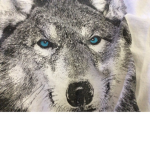 Wolf life fan club