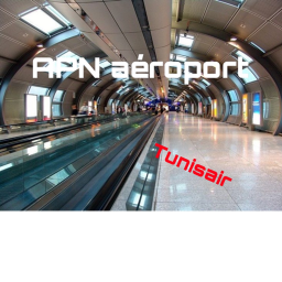 APN Airport [Tunisair]