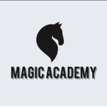 •|Magic Academy|•