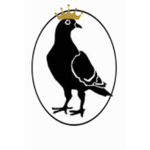 Capital Pigeon