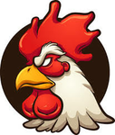 R00STER’S-chicks