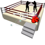 Iron Boxing Club ( IBC ) | BST