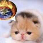 random decal gallery