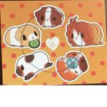 Guinea pig fan group for all guinea pig fans