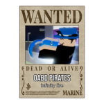 Old A Bizarre Pirates