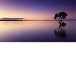 Your expressing home