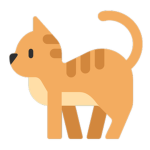 bruh cat cat cat cat kitty