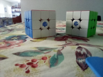 Shinx group