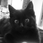stoopy!