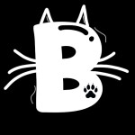 B🐈