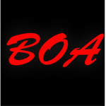 Official BOA Group