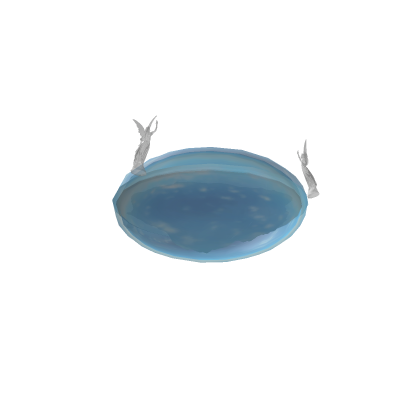 The Flat Earth