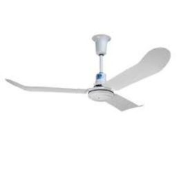 ceiling fan display