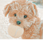 The pup dog army