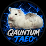 Guys who make games and vids