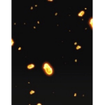 Ember's