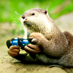 SeaOtterPlayz Fan Club