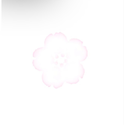 ꒰ ｡ ‿◞ ྀི 🎀 ׅ ֪ ˚ ˖ ◟ ͜ ｡꒱