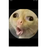 IDK AHAHA