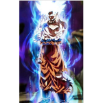 Furious132424